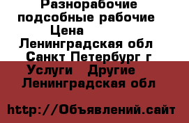 Разнорабочие, подсобные рабочие › Цена ­ 1 500 - Ленинградская обл., Санкт-Петербург г. Услуги » Другие   . Ленинградская обл.